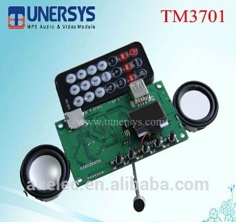 audio power amplifier module for speaker from tunersys