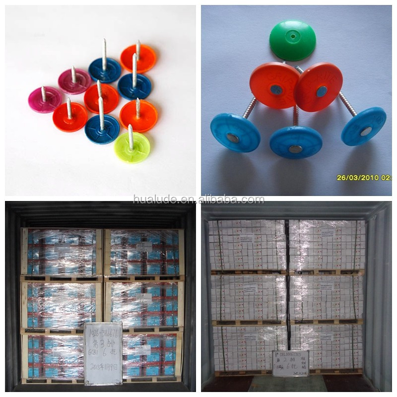 Grip-Cap Plastic Cap Nail with Factory Price