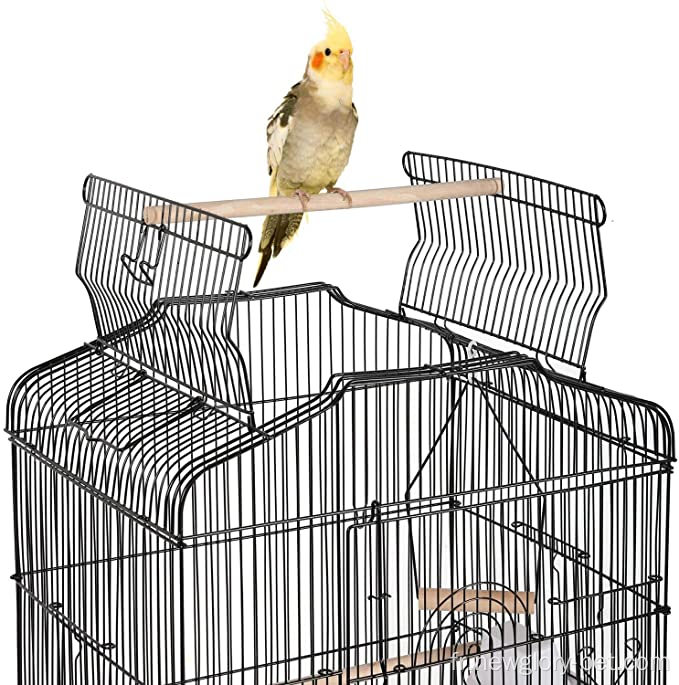 Ouvrez la cage d&#39;oiseau de petit perroquet moyen.