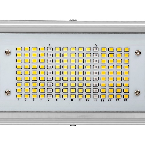 240 Watt / 450W Wachsen-Anlage LED-Licht