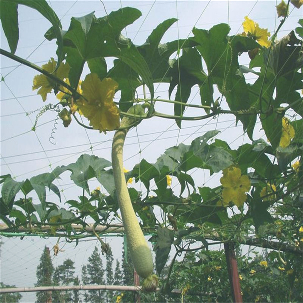 Red de enrejado de vegetales agrícolas de plástico