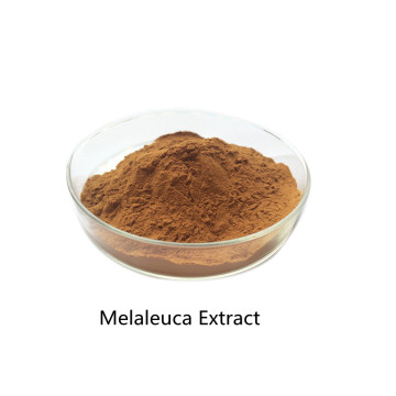 Buy online active ingredients Melaleuca Extract powder