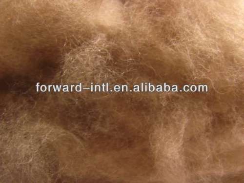 Combed camel hair natural yellow camel wool