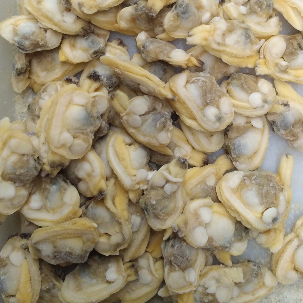 Hurtowe wysokiej jakości świeże mrożone gotowane mięso małże