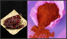 Herbs and spices Bulk barbecue seasoning powder for sale