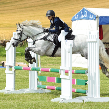 PVC Western Horse Jumping Barriers Plastic Jump Saddle for Horse Riding