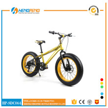 Colorful Mountain Bike