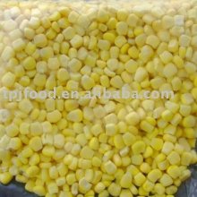 2012 new crop IQF frozen sweet corn kernel