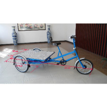 Electric Flatbed Trike
