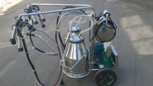 goat milking machine trolley