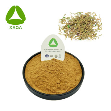 Honegsukle Flower Extract Powder 10: 1