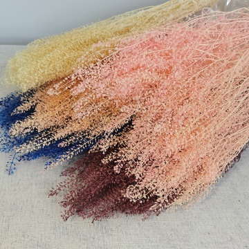 Wholesale Mini Preserved Honesty Flowers for Home Decoration