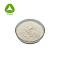 Poudre de nitrate de butoconazole CAS 64872-77-1