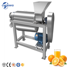 Stainless Steel Industrial Fruit Juice Extractor Machine - Apple Watermelon Mango Pineapple