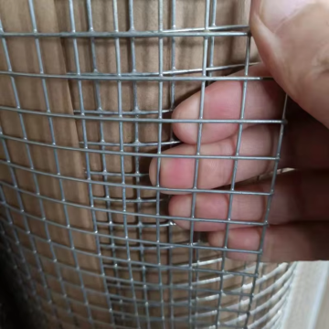 Galvanized Welded Wire Mesh