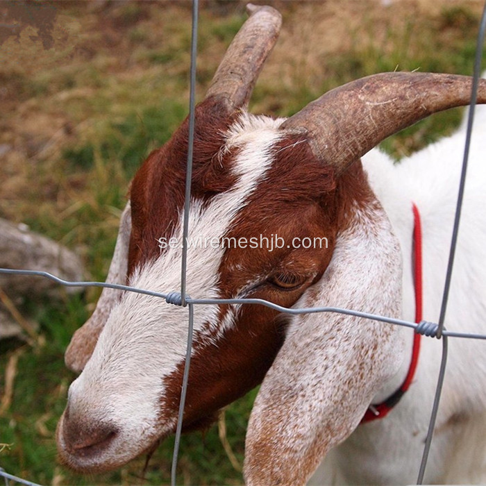 Woven Field Fence-Kraal Typ Fence