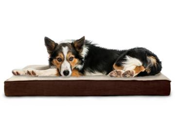 Higher Cost Performance Large Dog Bed With Cover