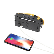 Customized Auriol Radio Controlled NOAA AM FM Weather Band Crank Radio