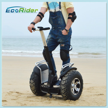 Personal Vehical, Electric Chariot, Two-Wheeler Self Balancing Scooter