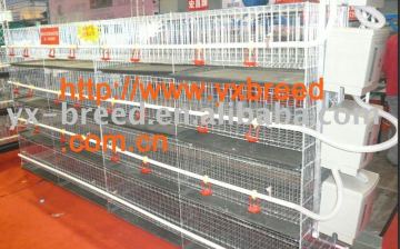 hot selling broiler raising cage