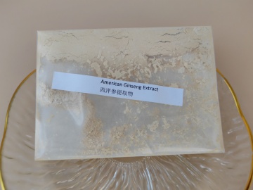American Ginseng Extract