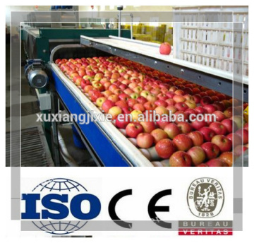 apple fruit juice processing line