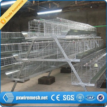 A type 96 layers chicken cage