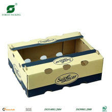 FRESH VEGETABLE DELIVERY BOX