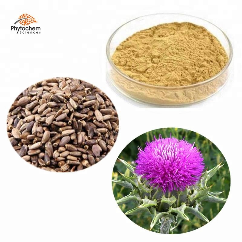 Supplement silymarin amazon natural Milk Thistle silymarin capsule price