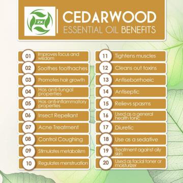 100% Label Pribadi Murni Minyak Esensial Cedarwood