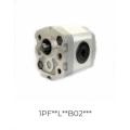 group 2 gear pump