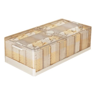 Mobile and Foldable Under-Bed Storage Solutions for Clothes and Shoes