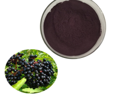 High Quality Organic Elderberry Extract Powder