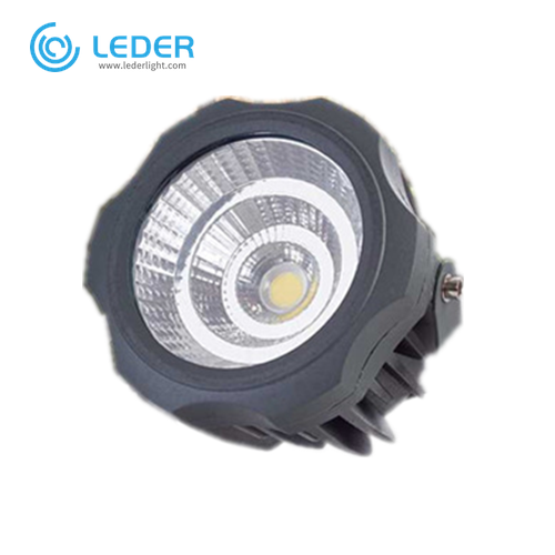 Bóng đèn chống lũ ngoài trời LEDER 20W