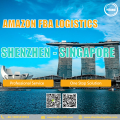 Amazon FBA Logistics Freight Service from Shenzhen to Singapore