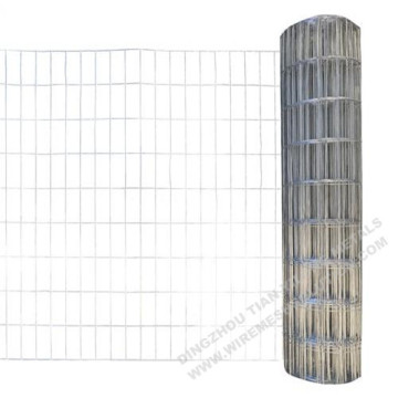 Geschweißtes Drahtgeflecht 25,4 mm für die Gartenarbeit