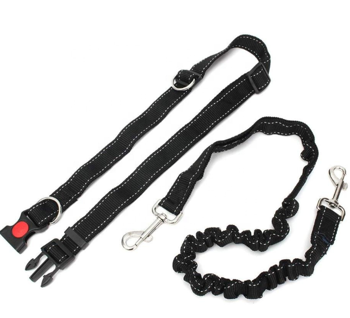 Waist Dog Leash