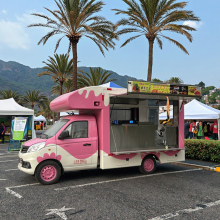 Custom Taco Truck Design for Food Business