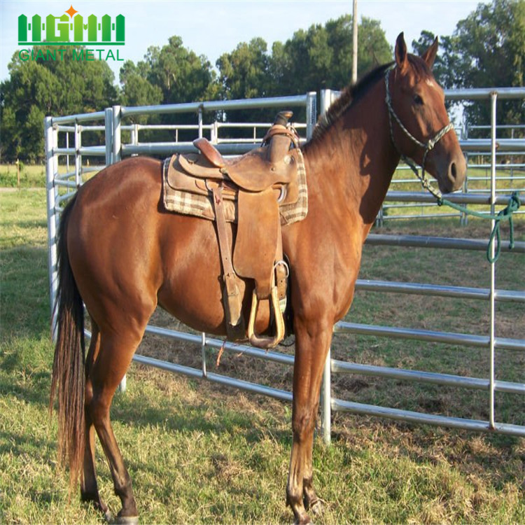 Galvanized Livestock Metal Fence Panels For Hot Sale