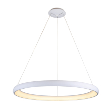 Nordic Modern Design Pendant Circle Light