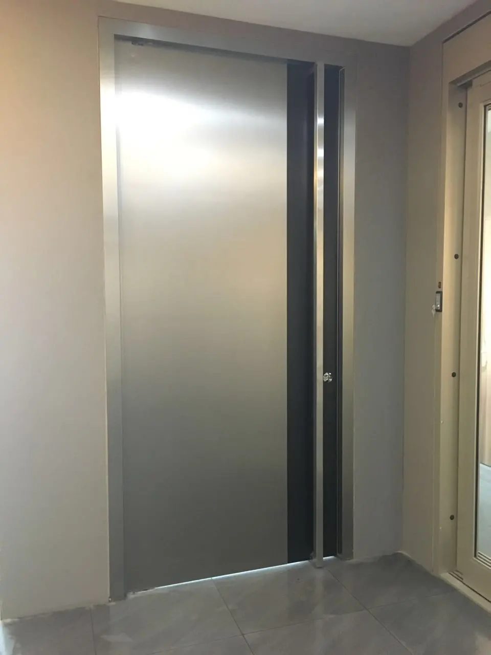 Stainless Steel Plate Internal Exterior Pivot Door