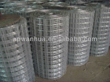 Gavlanized Welded Wire Mesh(hot sale)