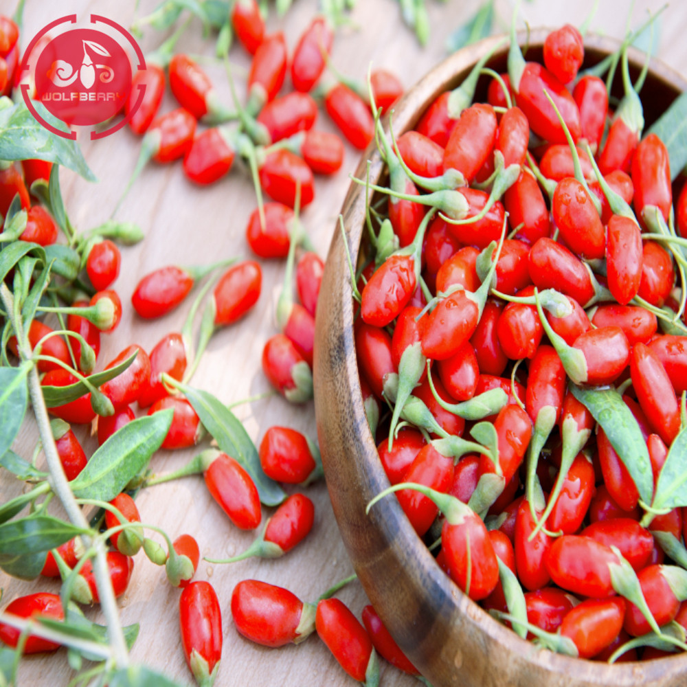 Medizinisch zugelassenes gesundes niedriges Pestizid Goji-Beeren