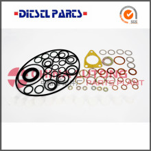 ve fuel pump rebuild kit