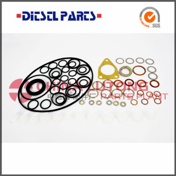 ve fuel pump rebuild kit