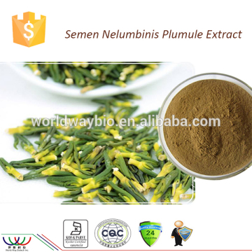 Lower blood pressure free sample FDA HACCP Kosher cGMP 0.6% liensinine powder lotus plumule extract lotus seed powder