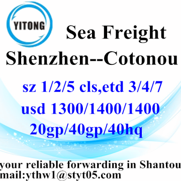 Shenzhen International Ocean Freight a Cotonou