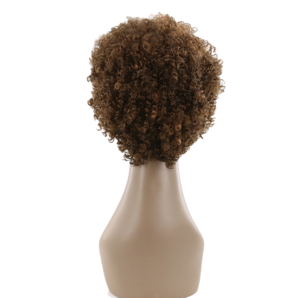 Wholesale Cheap Short Natural Afro Curly Virgin Human Hair Wigs For Black Women