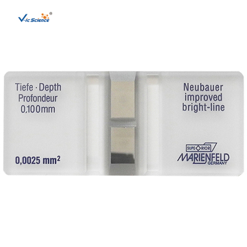 Blood Counting Chamber With Bright Line