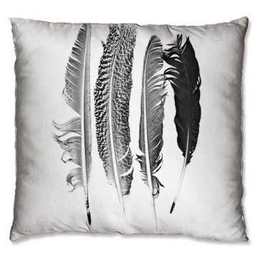 Group feather design cushion
